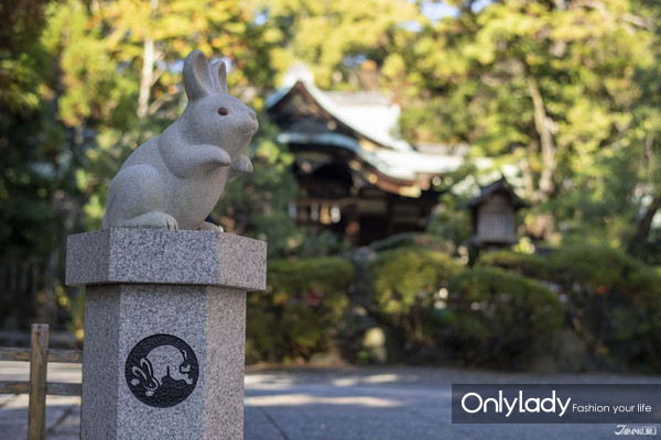 日本兔年这样玩！兔子景点商品等推荐体验5选