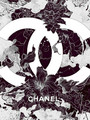 Chanel 2013Ʊ ܶ400