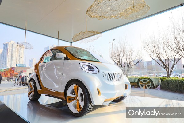 3. smart Concept Car 2011ȫһܹͨ͸⳵