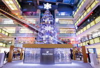 魅力星光 悦享晶璨  施华洛世奇「璀璨圣诞树」耀北京